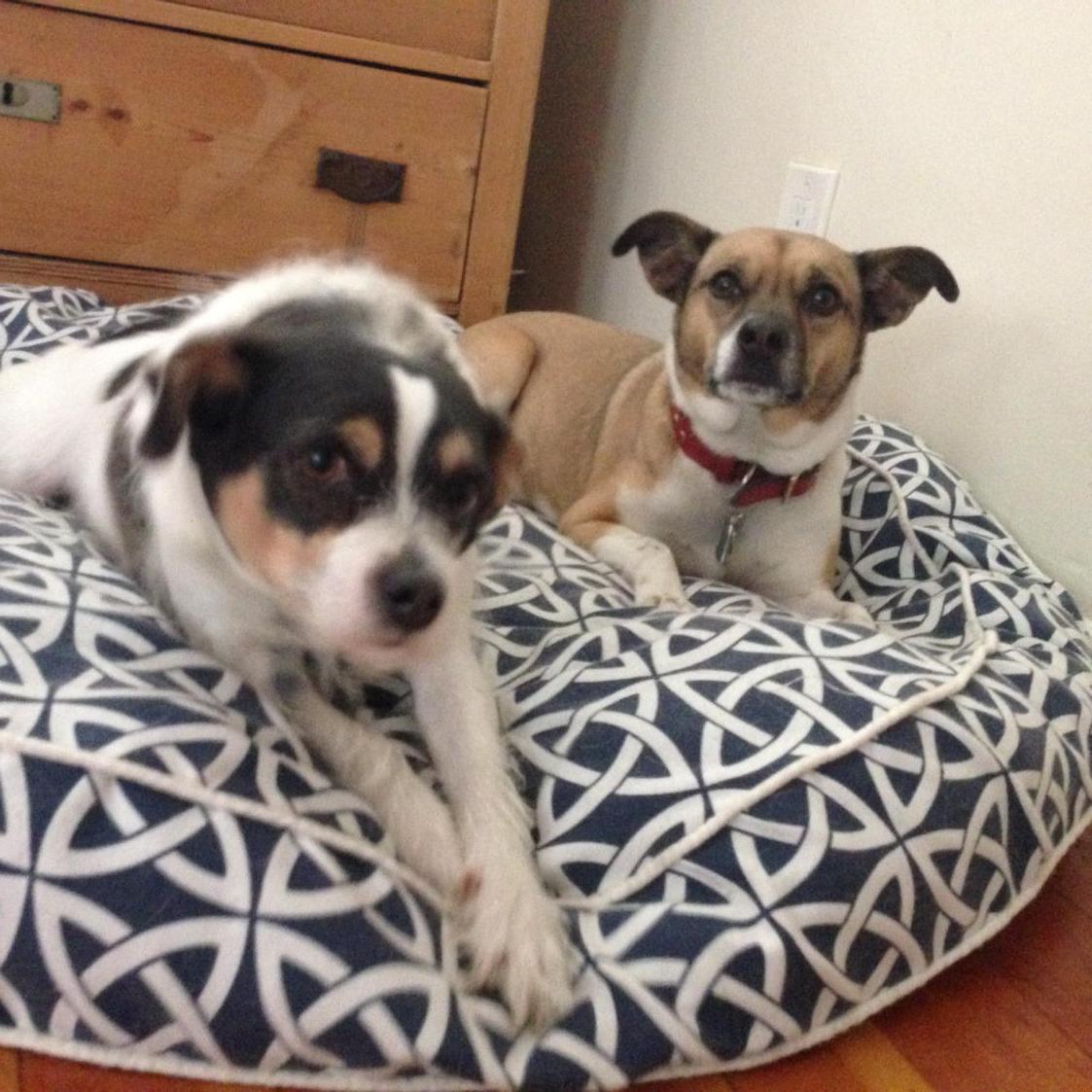 ThePetConcierge's tweet photo. @marinaomi http://t.co/lqOupUF6RM