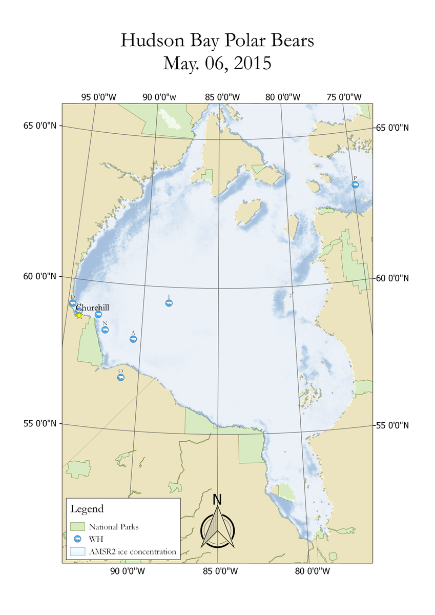 pbear_research's tweet photo. Our Eastern pathfinder continues her bout. #polarbear P has closed the 75th meridian. http://t.co/XF8Uh9pRZD