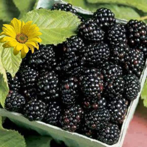 e_export_import's tweet photo. http://t.co/TZP0vNyHE3