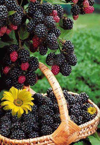e_export_import's tweet photo. http://t.co/BRuZhaIHWh