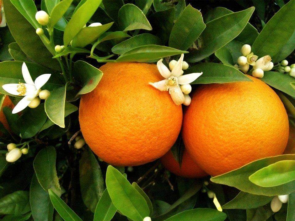 e_export_import's tweet photo. http://t.co/6OEJpODi4m