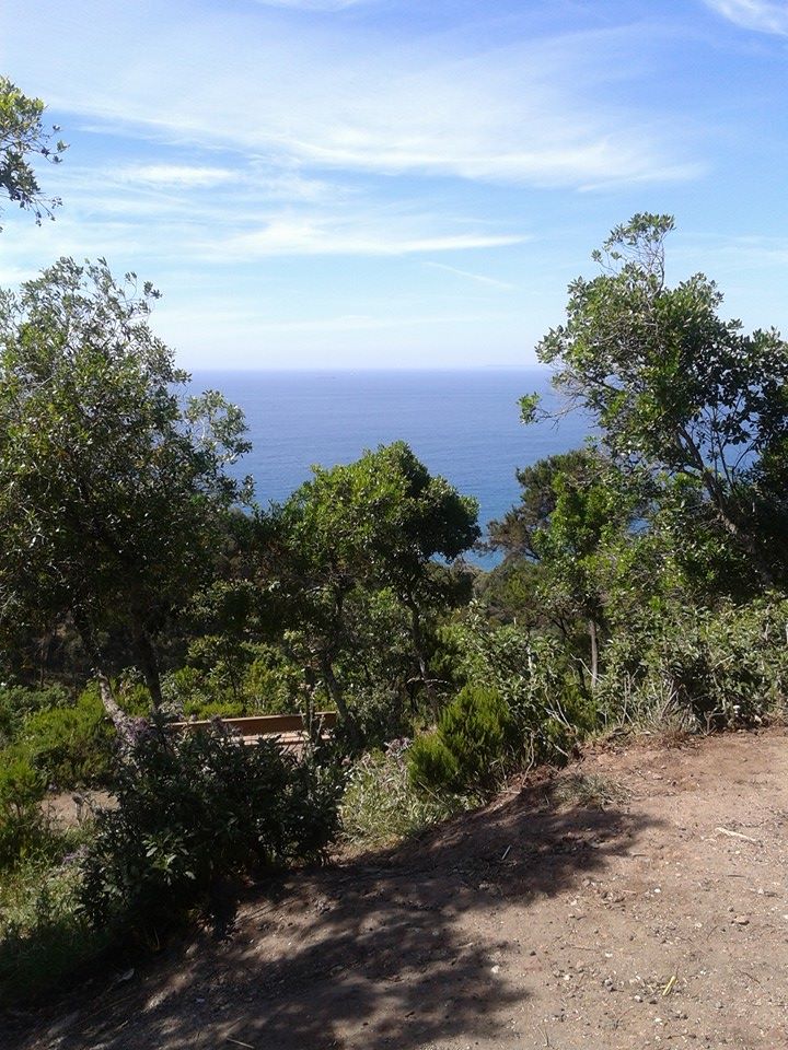 QuawtarB's tweet photo. Rmilat Un lieu superbe magique,pour ceux qui aiment la beauté de la forêt.Qui adorent le calme #Tanger #Sport #nature http://t.co/QoSMheMtCN