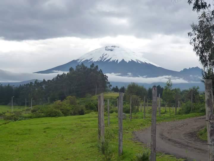 SanAgustinCallo's tweet photo. En Hacienda San Agustín de Callo amanecerás con este paisaje #Cotopaxi
¡Visítanos! Contáctanos: info@incahacienda.com http://t.co/pDdbOFWT5e