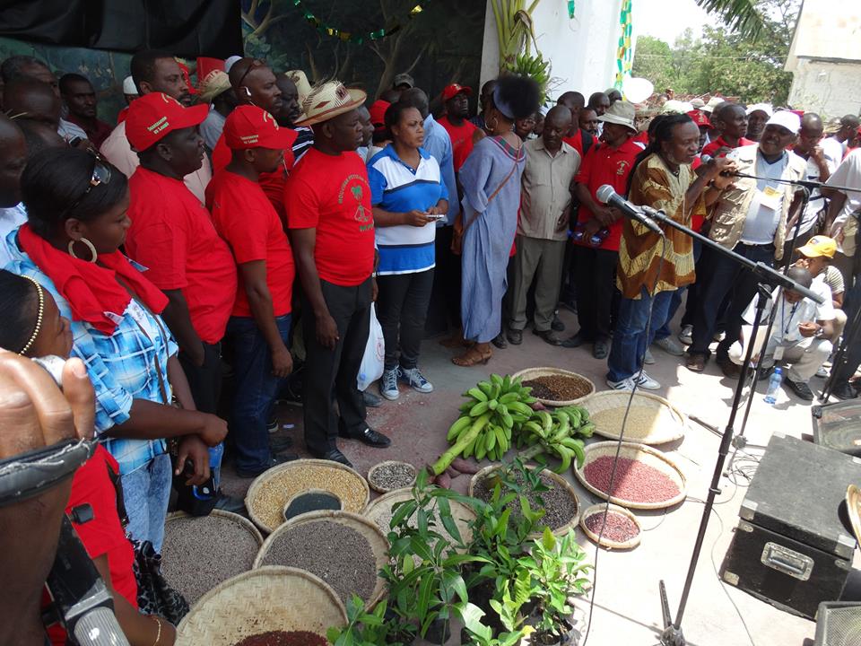 MouvementPaysanPapay tweet media