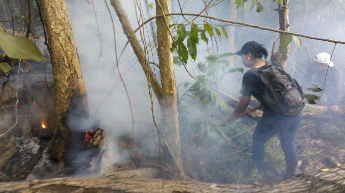 ParquesYaracuy's tweet photo. EVIDENCIAS INCENDIO FORESTAL EN EL PARQUE NACIONAL YURUBÍ @inparquesgob @YaracuyPnMn http://t.co/kVS9yS2bKd
