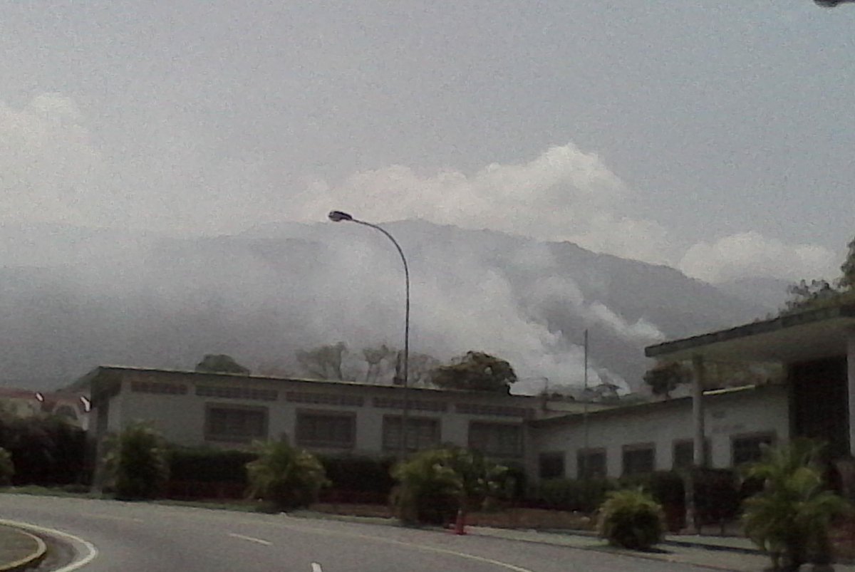 ParquesYaracuy's tweet photo. Evidencias del Incendio Forestal @inparquesgob http://t.co/7jbCPxfqDT