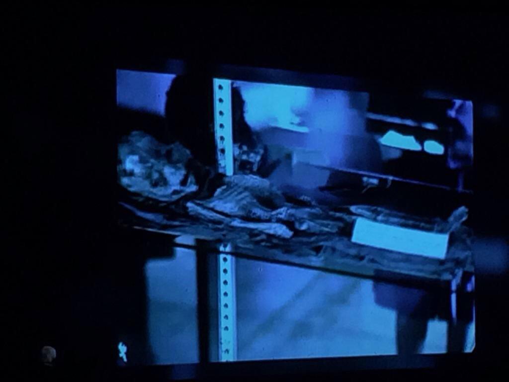 AliensShadow's tweet image. #Roswellslides