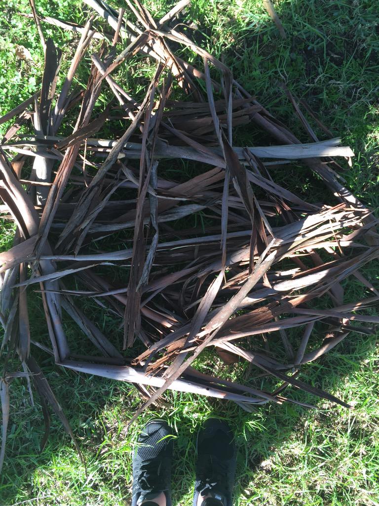 What an artist! #ACUedu_p <a href="/AndrewDiLizio/">Andy G Diliz</a>