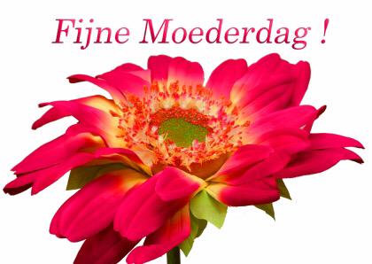 MonsoonThaiRest's tweet photo. Kom Zondag gezellig met moeder eten bij Monsoon. Voor elke moeder een leuke attentie! http://t.co/MDA9dssVoD