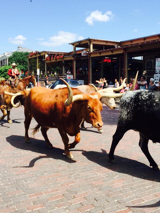 gmp_18's tweet photo. Having an awesome time at #SabreTTX and enjoying #BigD too. http://t.co/6wJECZJA3Y