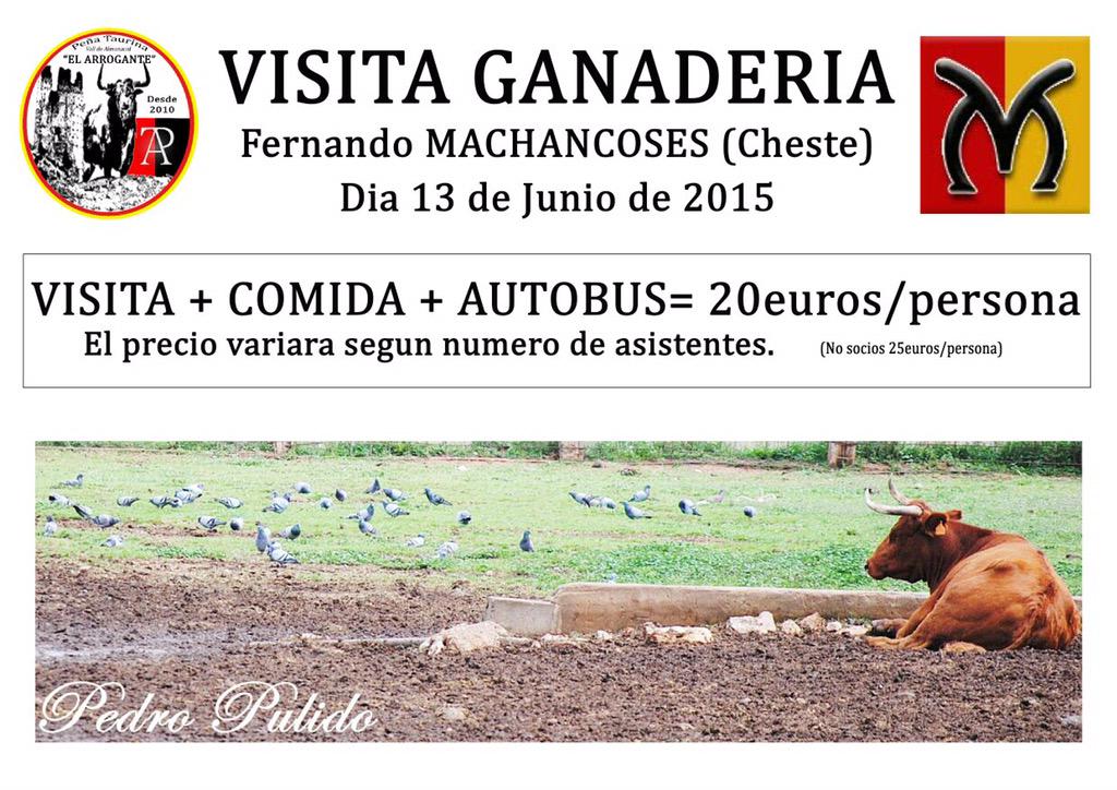 Salva Sánchez 🦇🇪🇸 tweet media