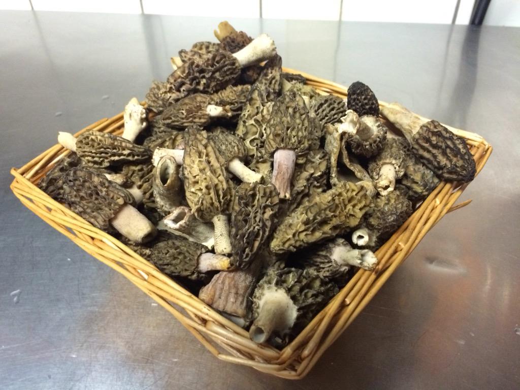 GaviusArnhem's tweet photo. Heerlijke lente morieljes op de kaart! Komt dat proeven! http://t.co/nWnrCOiNIG