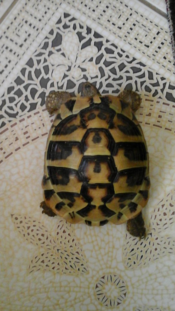 elainter's tweet photo. http://t.co/XJWe6y9WnA