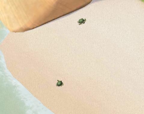 Dünya üzerinde caretta kaplumbağalarının iki yaşam alanı var. İztuzu Plajı ve bizim adamız.