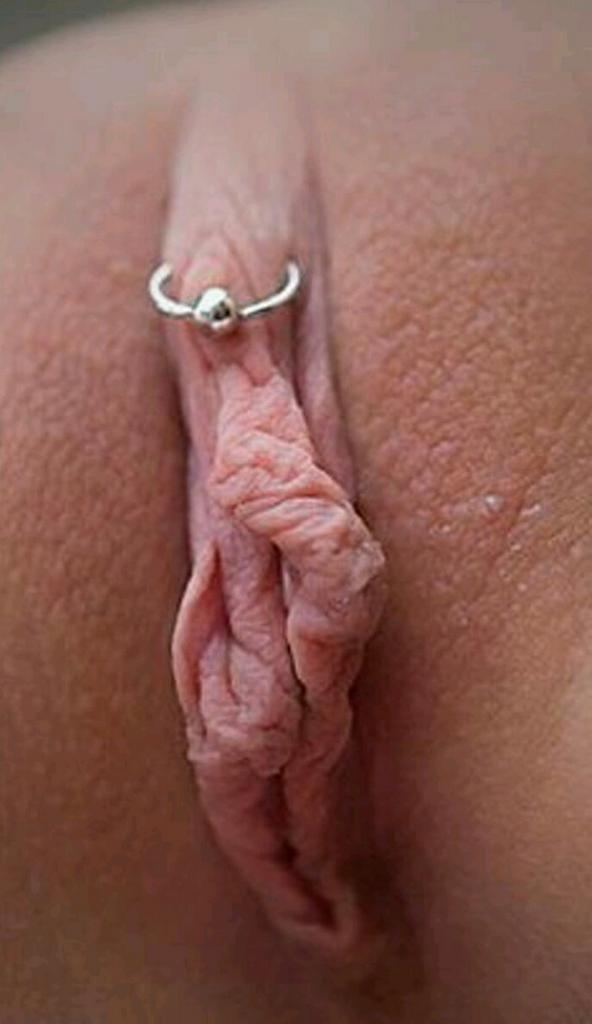 sexpantherjunky's tweet photo. #piercing #clitpierced Who liked piercing pussy?? #pussy http://t.co/QRokcY5NNd