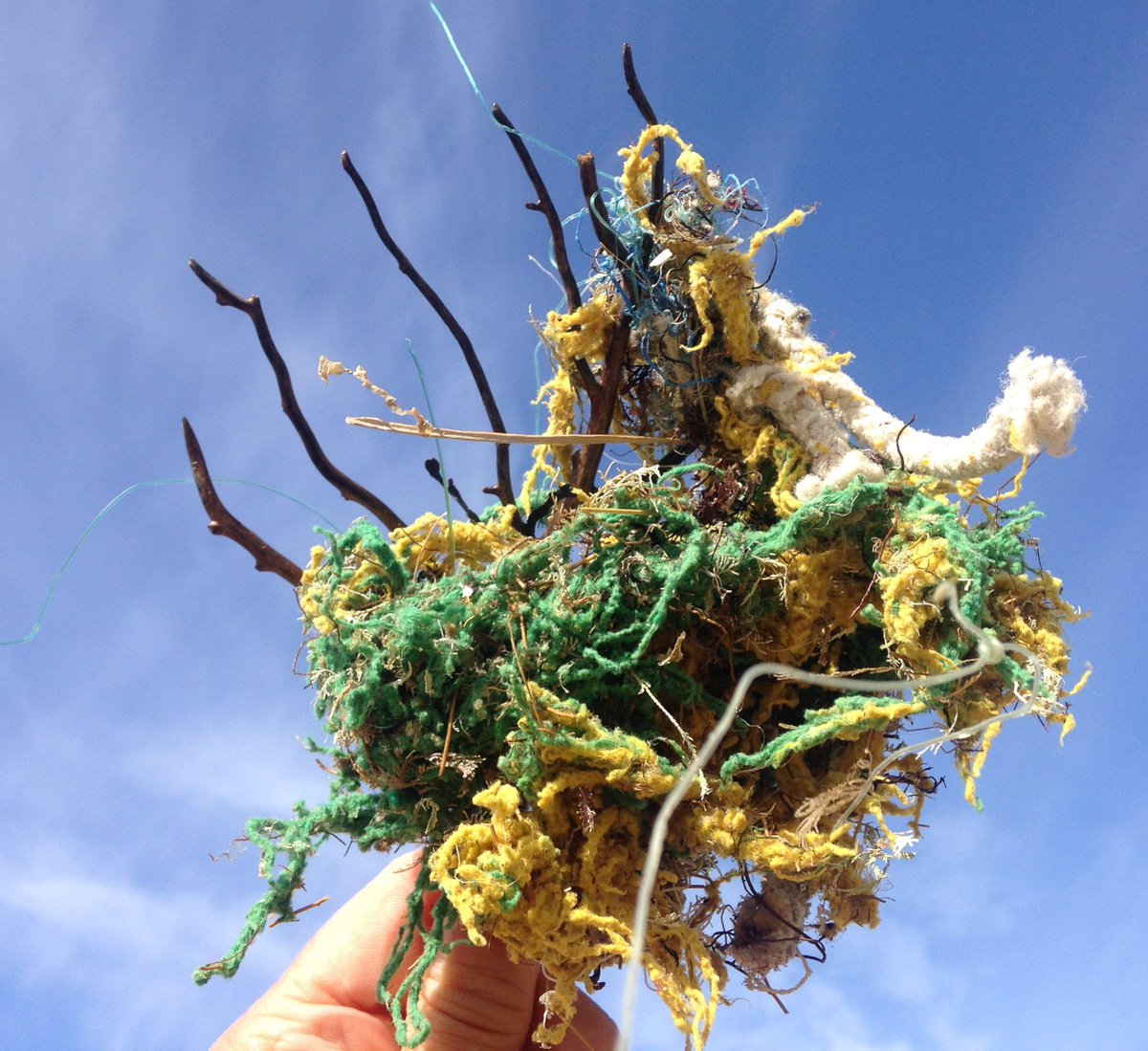 PINKSEAFAN's tweet photo. @PYCousteau What's happening to our beautiful #pinkseafans?
#marinedebris http://t.co/qOJT983fff