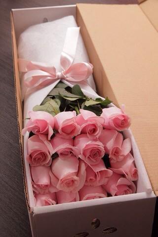 CachitoVaca's tweet photo. Te traje flores, espero te gusten las de este color. #YNoSe 😊 http://t.co/BBqSDypy1i
