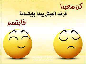 Meayad1 tweet picture