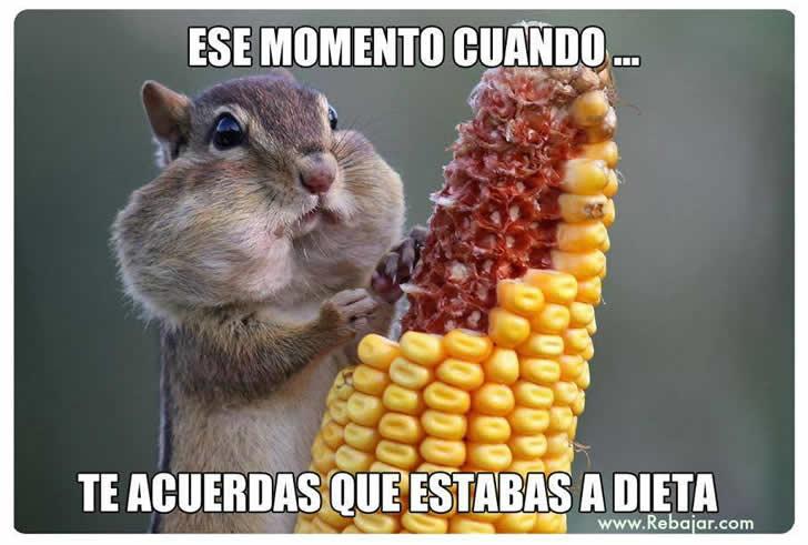 jmsc30's tweet photo. jaja http://t.co/FiSJag2J9h