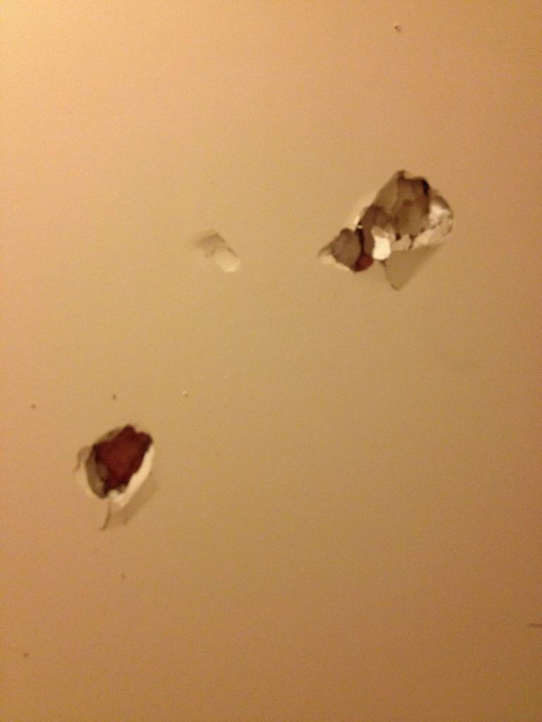 jacobroche65's tweet image. What happens when u live to many drunk weekends.#timetofixit