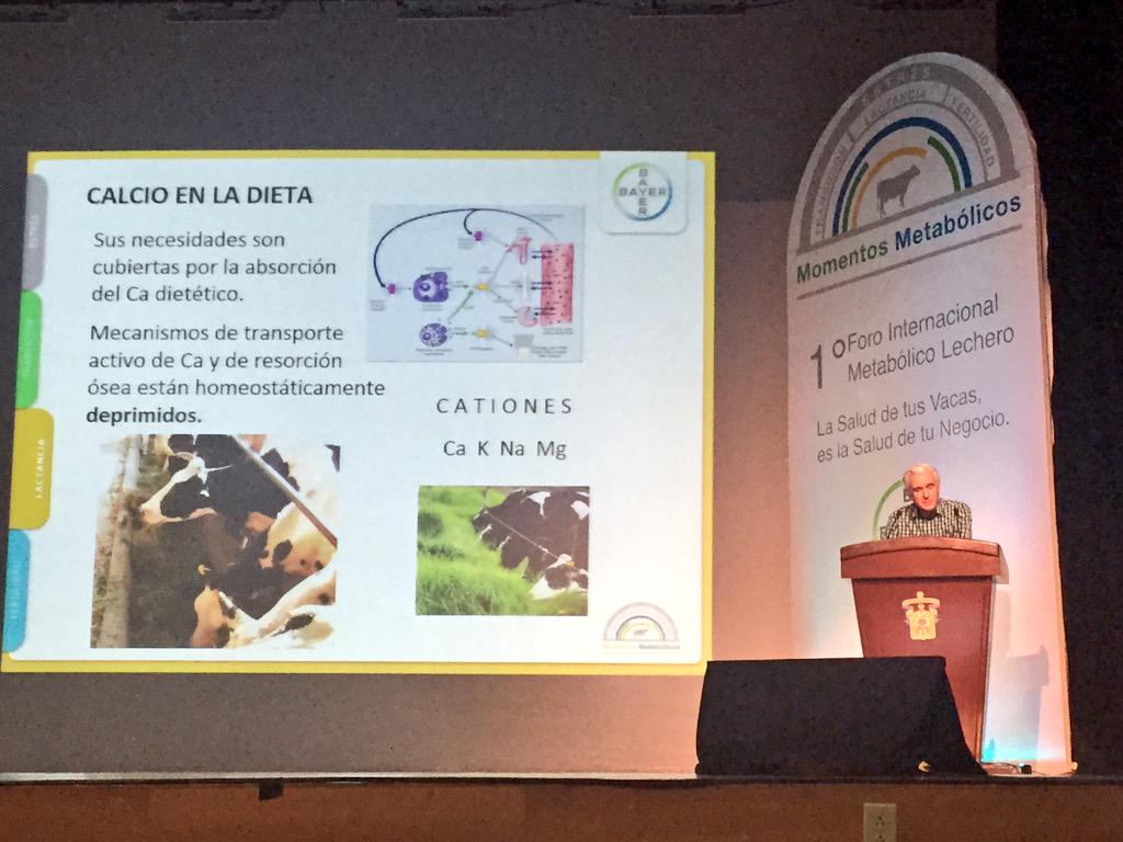 Cristina_MoranM's tweet photo. Participación de jóvenes @ReinuMX de @cucba_UdeG en Foro Internacional Metabólico Lechero en @CUALTOS #reinuevate http://t.co/v4PGAnKfkJ