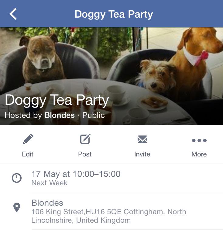 Doggy tea party @BlondesCoffee next Sunday!! Spread the word. #doggyteaparty #dog #party #charity #puppys #fun #cake