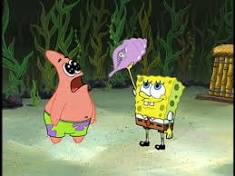 cghs2015's tweet photo. @shellyperryy I'm squid ward and your the Magic Conch http://t.co/6irS2KpDIU