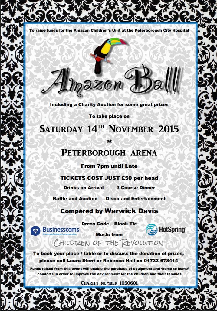 StentLaura's tweet photo. @DPiPboro @BusinessComs #amazonball http://t.co/9D485TkqwE