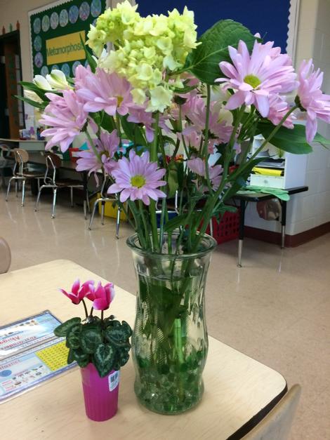 Beautiful flowers for Teacher Appreciation. Thank you!