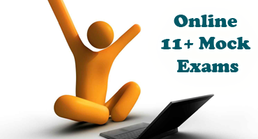 Project11Plus's tweet image. 