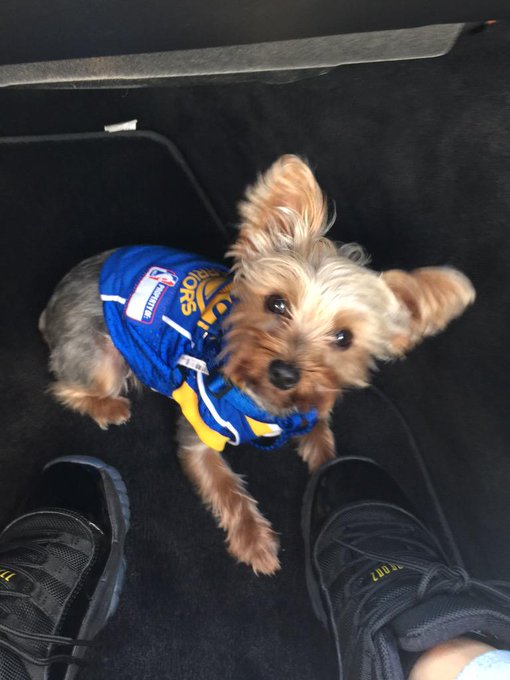 Had to cop baby this #GoldenState jersey 😩🙌🏼 http://t.co/HjPKn9xldF<a href="/tag/goldenstate"class="tags">#GoldenState</a>
