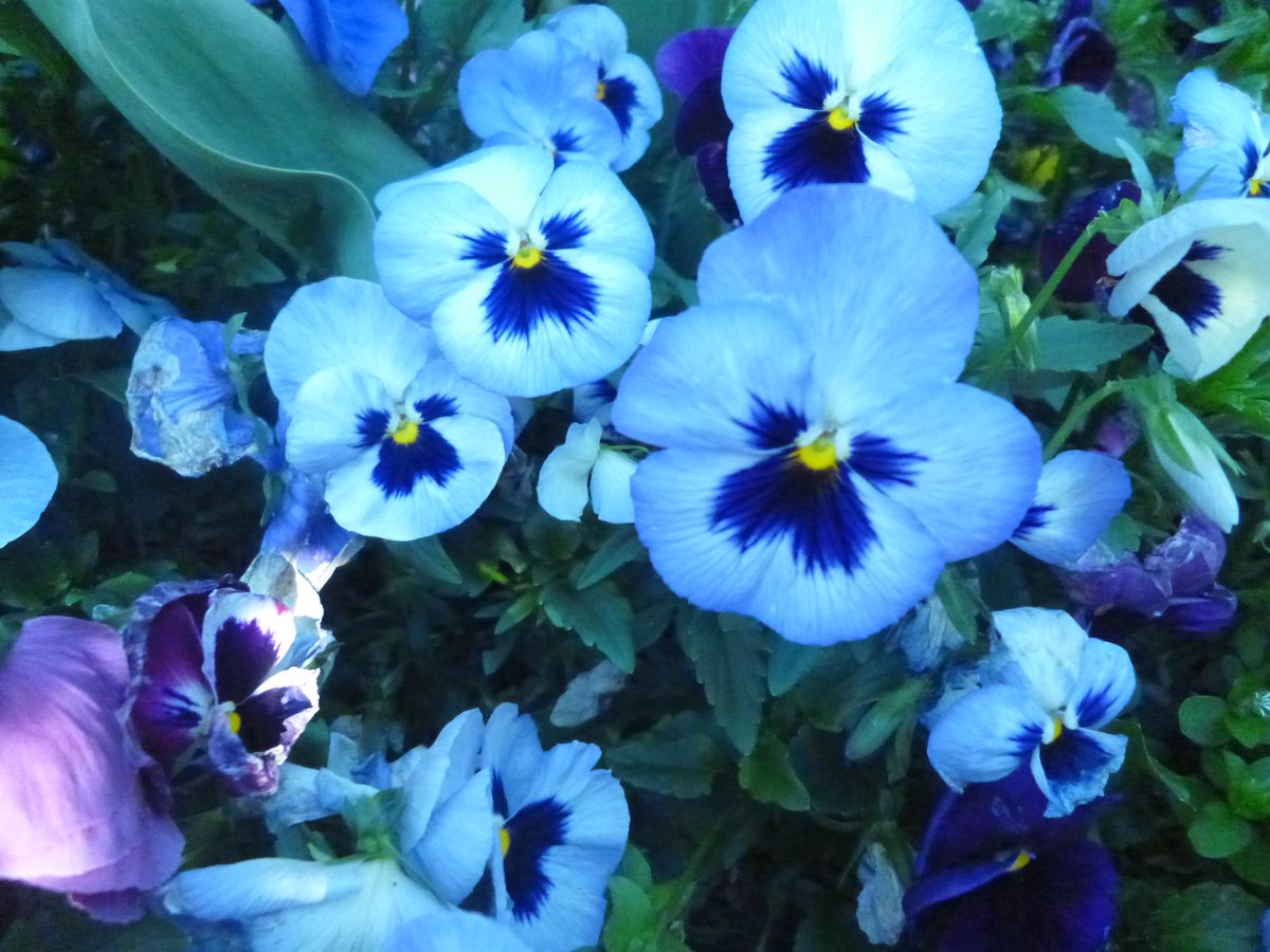 大口 藍 [LINE ROCKE] 
写真作品 0088