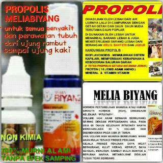 Minat invite 31140618 <a href="/061medan/">ryanhidayat061</a> @BandungIKLAN <a href="/jakpost/">The Jakarta Post</a> <a href="/AremaniaBandung/">Arema Bandung</a>