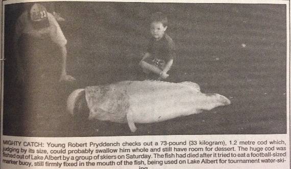 The Daily Advertiser tweet media