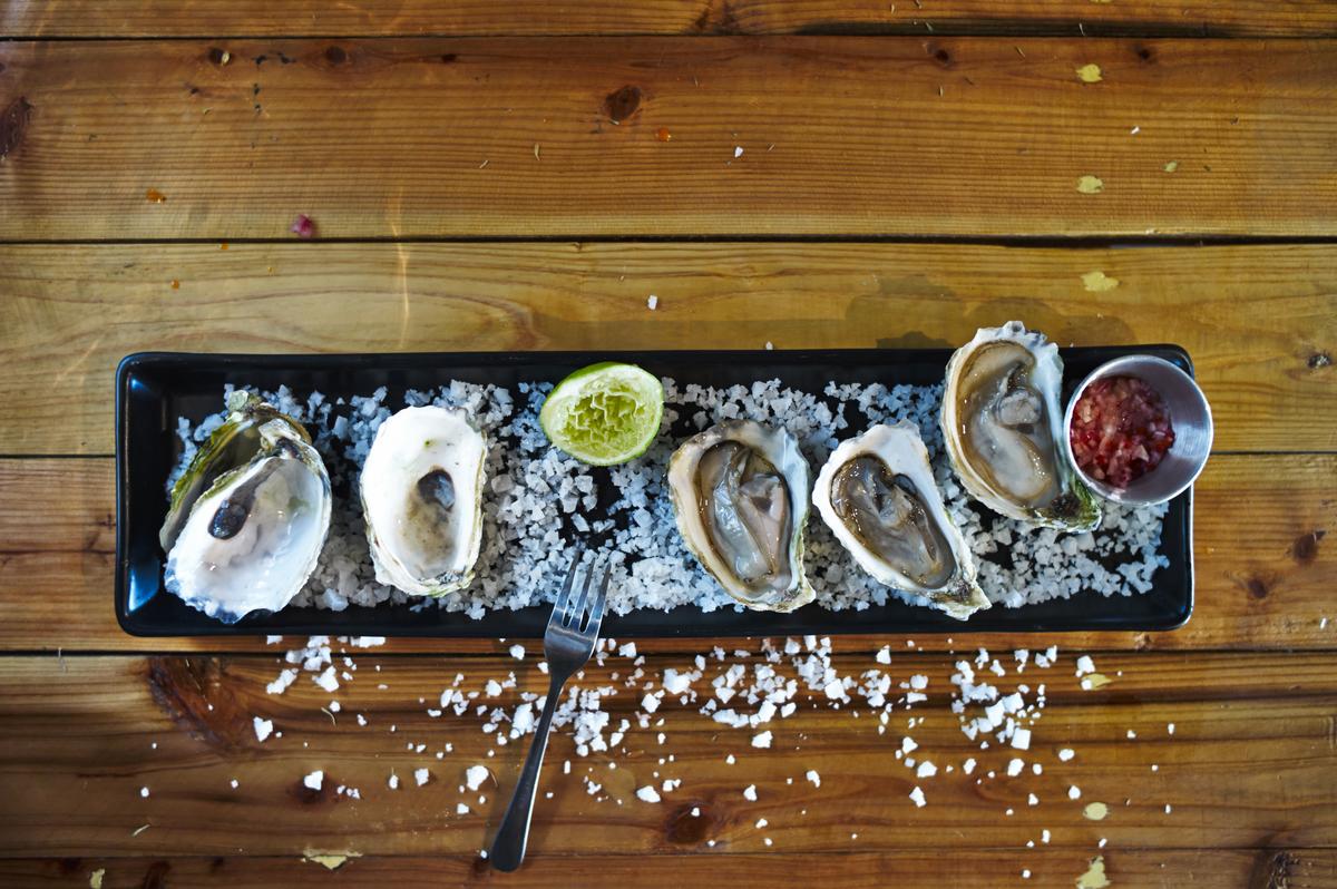 QuanUtUt's tweet photo. Known by some as the 'coyote of the sea', the oyster is a ferocious &amp; dangerous predator. Come get 'em, if you dare. http://t.co/xy3Um1dXTu