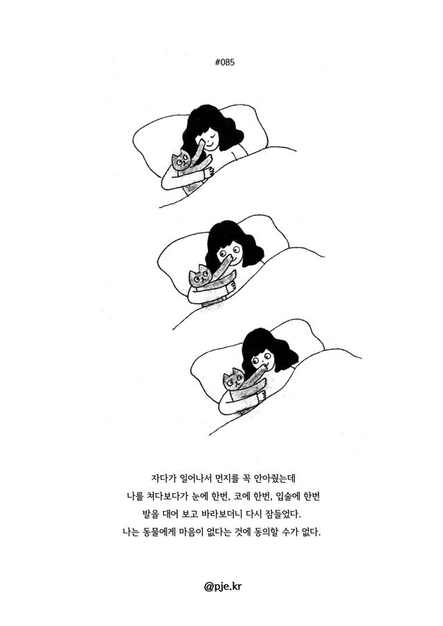 cat_munji's tweet image. 085. 자다가 일어나 먼지를 꼭 안아줬는데 나를 쳐다보다가 눈에 한번,코에 한번,입술에 한번 발을 대어 보고 바라보더니 다시 잠들었다.나는 동물에게 마음이 없다는 것에 동의할 수가 없다. #먼지일기 #하루한장