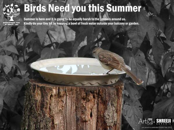 RadhaSwamiDinod's tweet photo. Summer is here and it is going to be  harsh to the birds.
Kindly do keep a bowl of water outside your balcony. http://t.co/4Bkqu94x7O