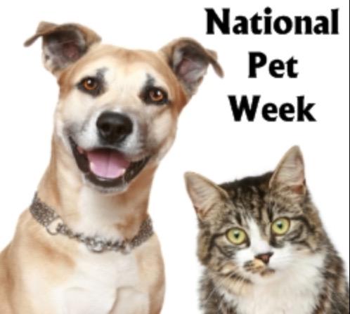 How are you celebrating?! <a href="/WhistleLabs/">Whistle (by Tractive)</a> <a href="/taggtracker/">Tagg GPS Pet Tracker</a> <a href="/NOVADogMag/">NOVADog Magazine</a> <a href="/FuzzypantsPhoto/">Fuzzypants Pet Photo</a> <a href="/VCAPetHealth/">vcapethealth</a>