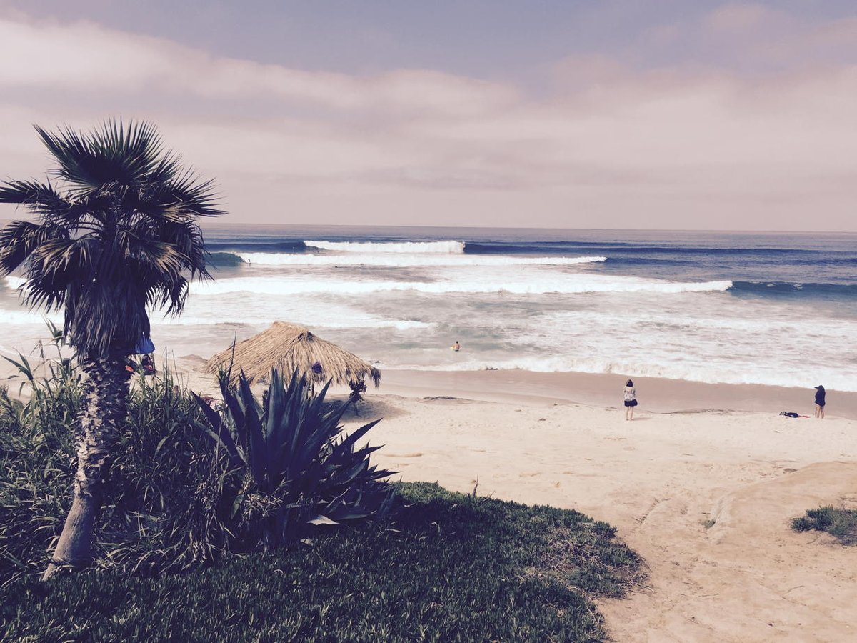 Mark Lehman (@bama_surf) on Twitter photo 