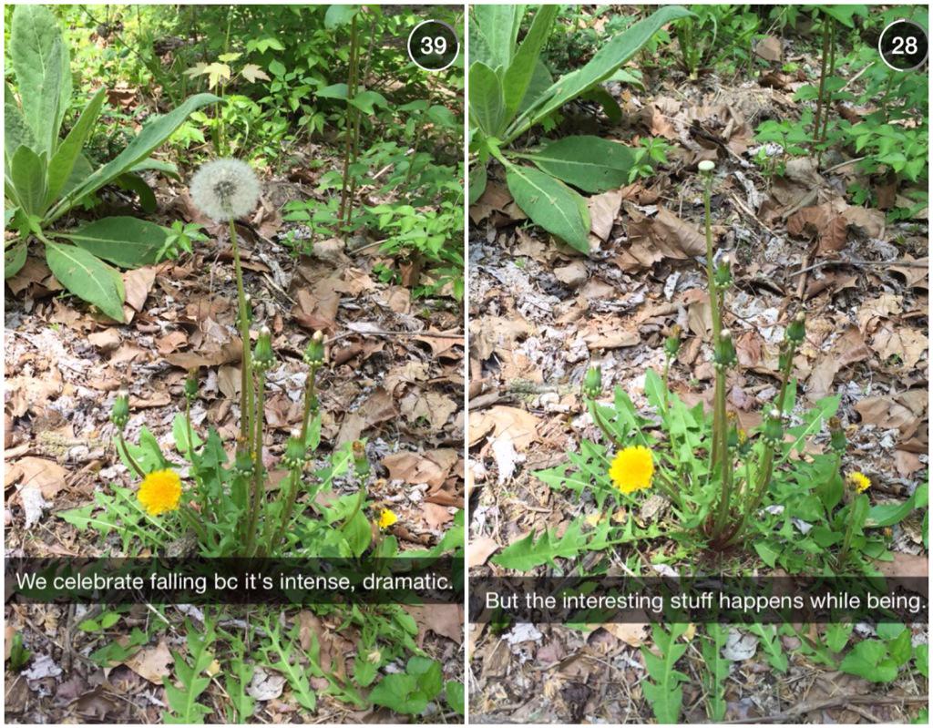 PositivePosit's tweet image. Via johngreensnaps 😊💓