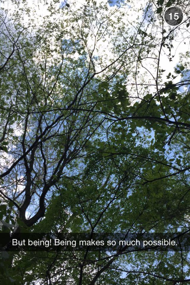 PositivePosit's tweet image. Via johngreensnaps 😊💓