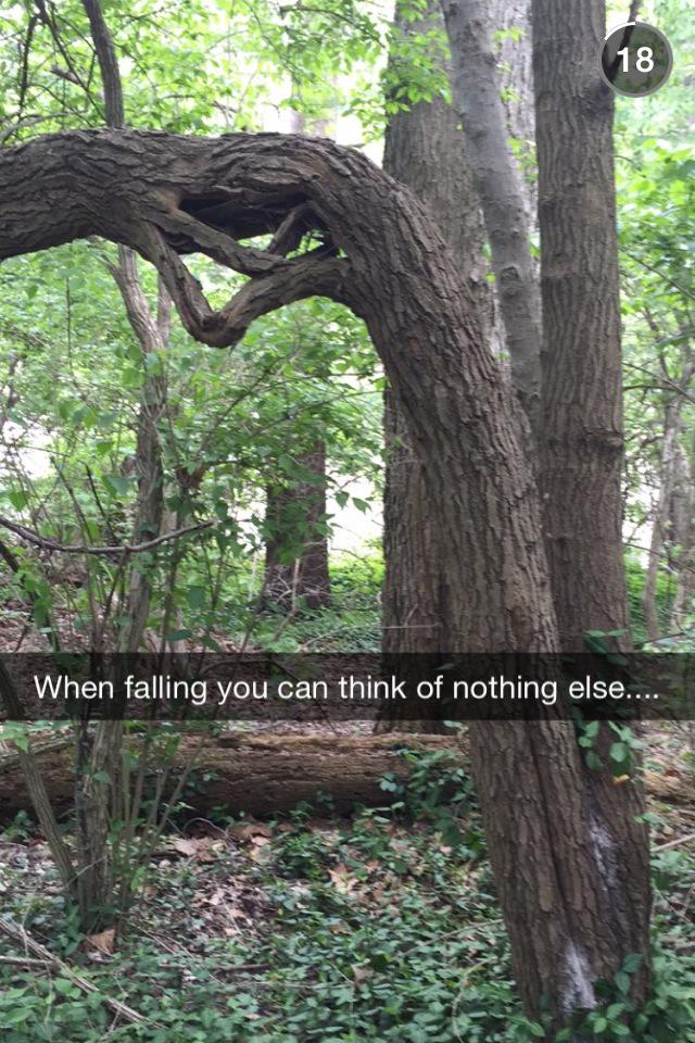 PositivePosit's tweet image. Via johngreensnaps 😊💓