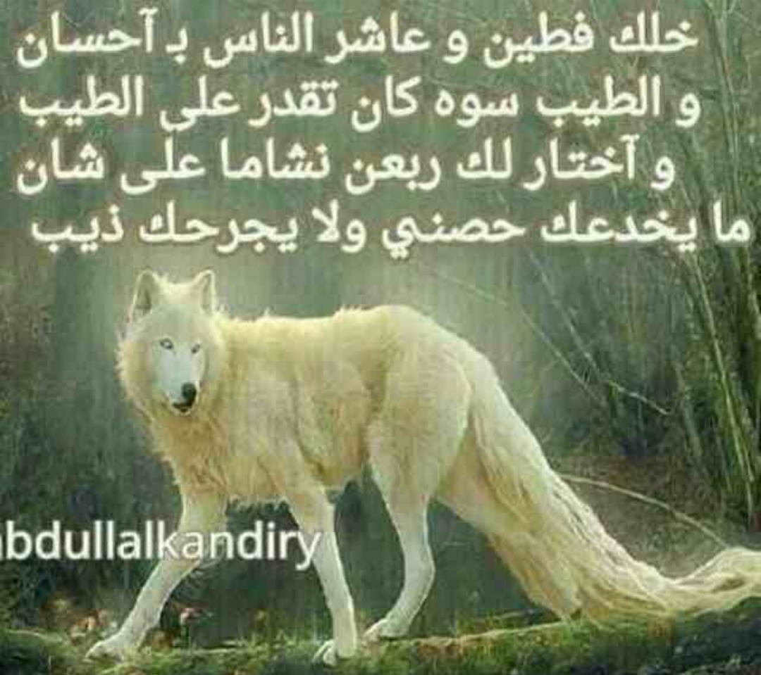 50_161's tweet photo. http://t.co/5Xhnxpqok5