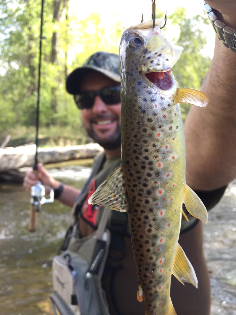 <a href="/BillyTolley/">Billy Tolley</a> caught a monster trout today