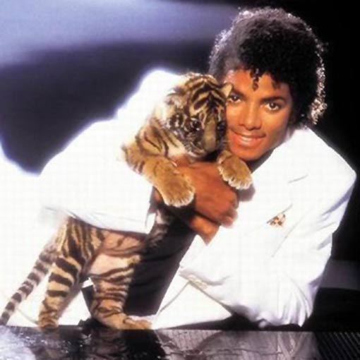 ToniJackson24 tweet picture