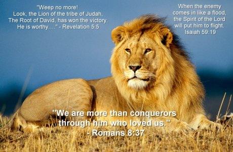 AvayNeviah's tweet photo. Lion of Judah! Hallelujah! http://t.co/cmkxpMOaOw