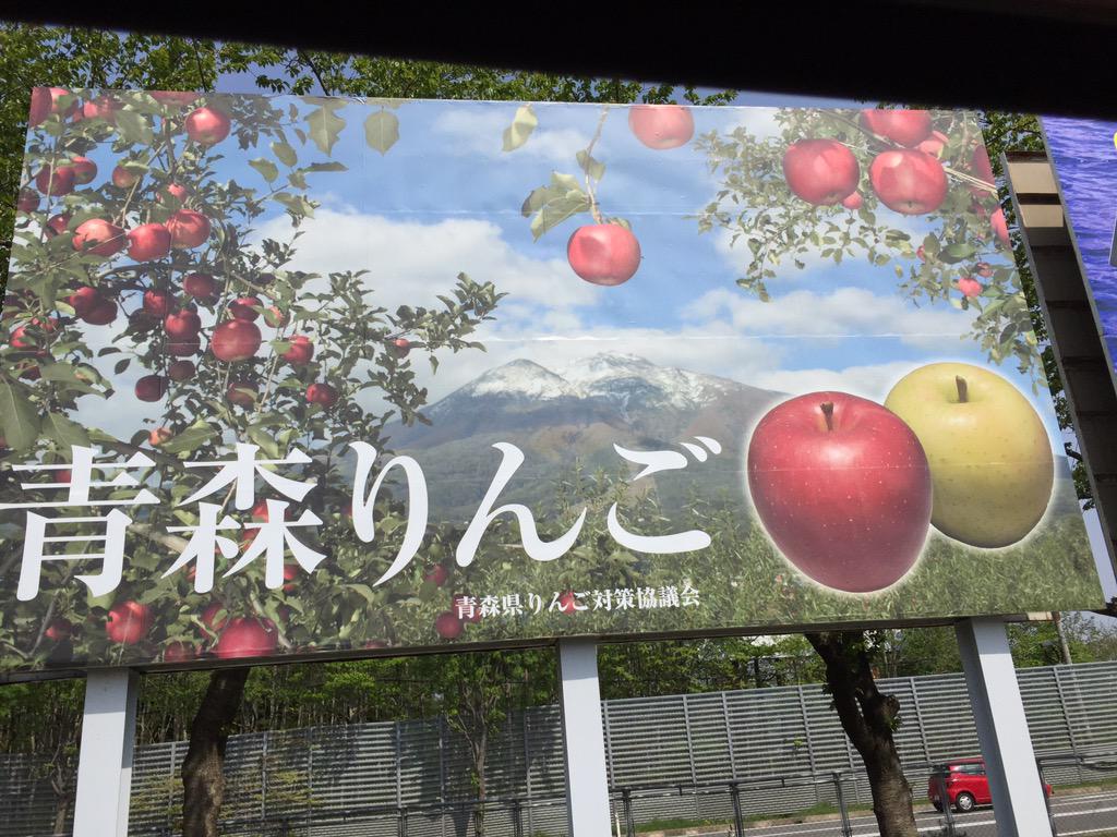 yozo_tachibana tweet picture