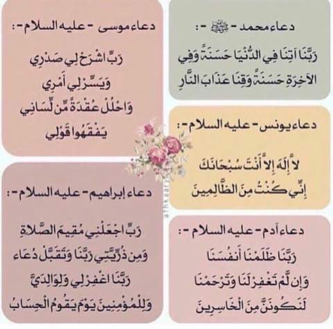 رفعت احمد (@xtto2001) on Twitter photo 
