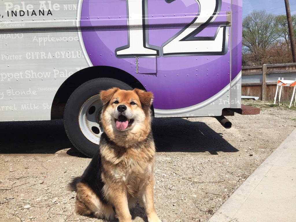 AmyBHaneline's tweet photo. #SnicksPicks outtakes. Find her fave dog-friendly spots in #Indy here + photos: http://t.co/OmqQyEk57W http://t.co/HoMC7mE9fs