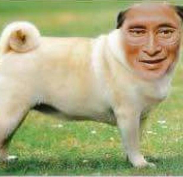 ROSE99961124's tweet photo. @sudarang จังไรเจงๆ แม่งปล้นทุกอย่างไปจากคนไทย มันรวยเหี้ยๆ ปชช.จนลงทุกวัน http://t.co/XE5wodcqNu